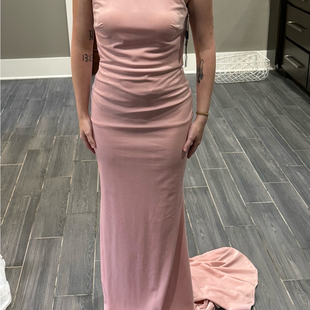 NWT Clarissa blush velvet formal dress